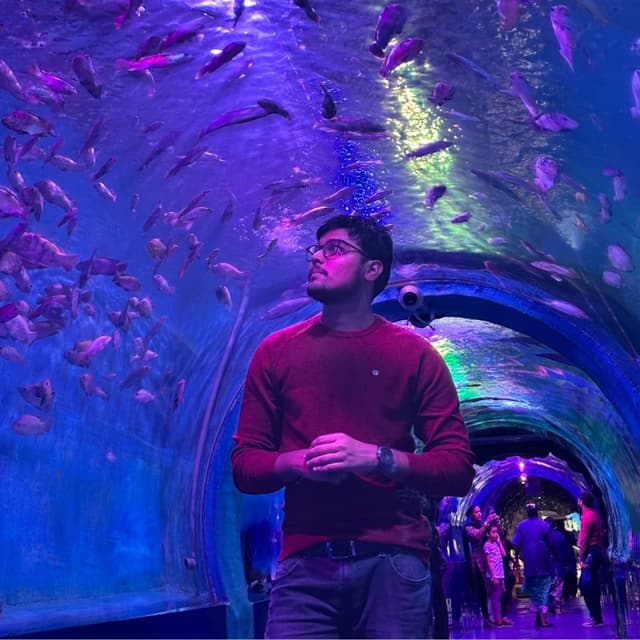 Abhinay Bathina