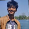Aditya Narayan Malik