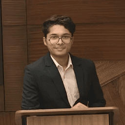 Aditya P.