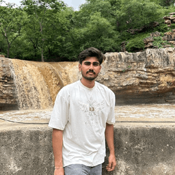 Aditya S.