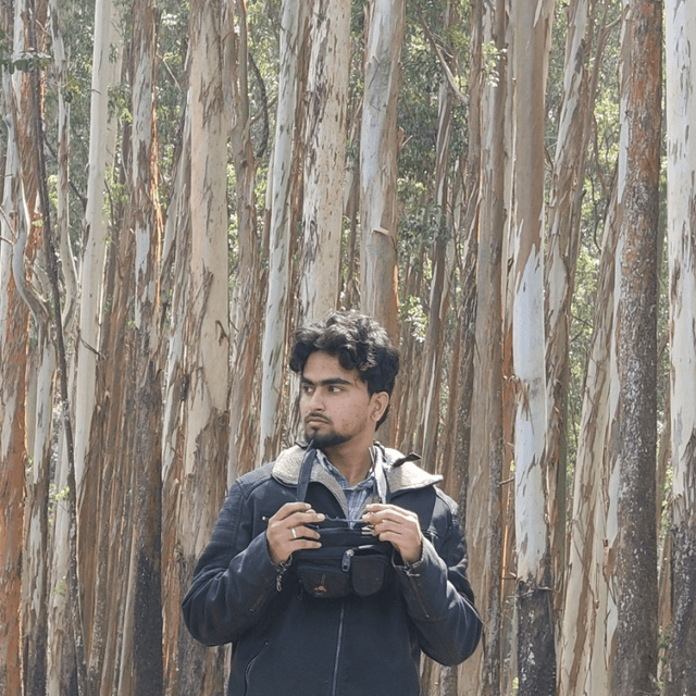 Ahmed Sharief