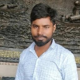 Alok K Prajapati