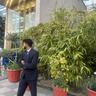 Aman Thakur