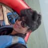 Amit Das