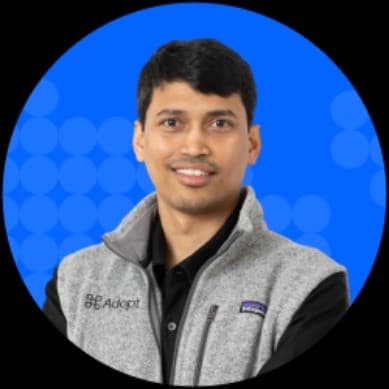 Anirudh Badam