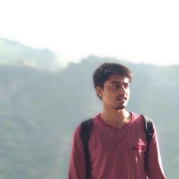 Ankit Kaushik
