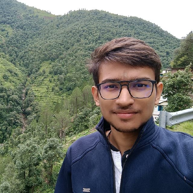 Ankit L.