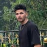 Ankit Hans