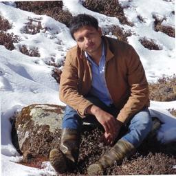 Ankit Maurya