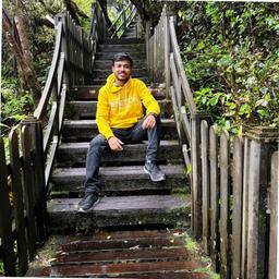 Ankur Goel