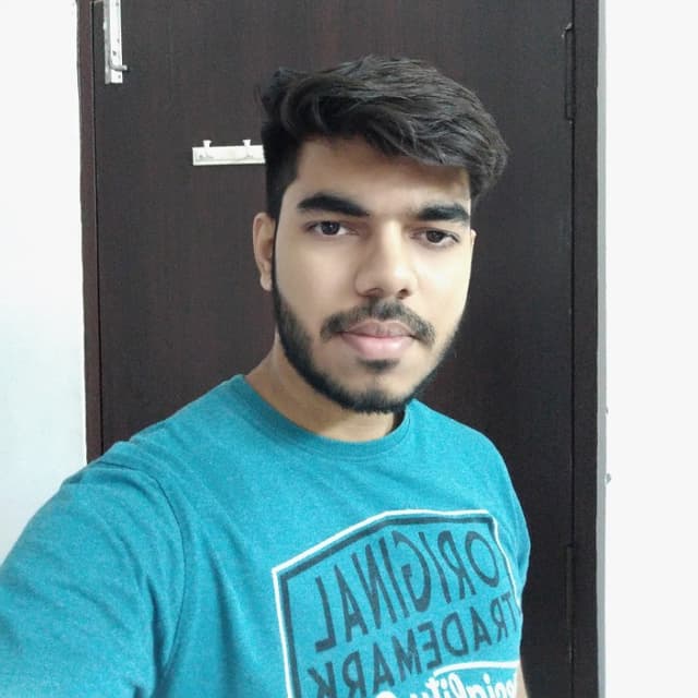 Anshul Shaive