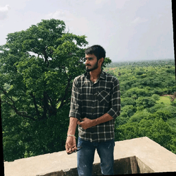 Arman   singh Meena