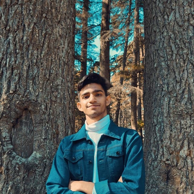 Arush Menaria