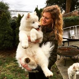 Ashley (Eiffert) Liu