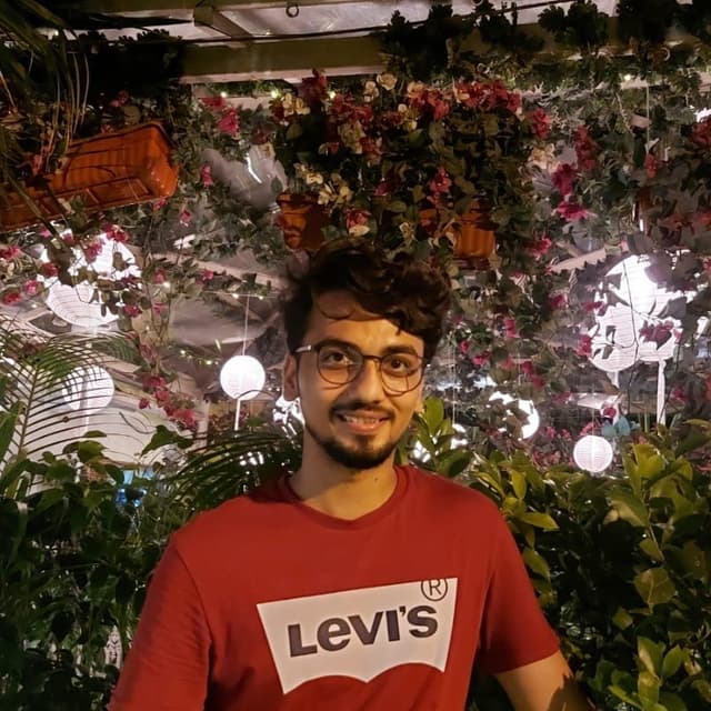 Asim Ansari
