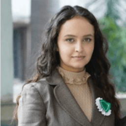 Ayaan Ansari