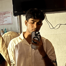Ayush Sapariya