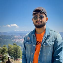 Basant  Kumar Meena