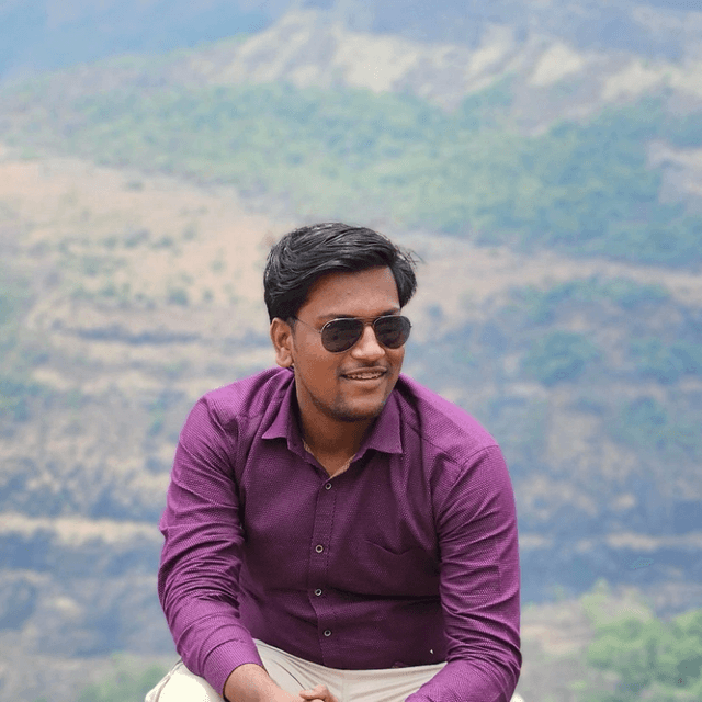 Bhushan S.