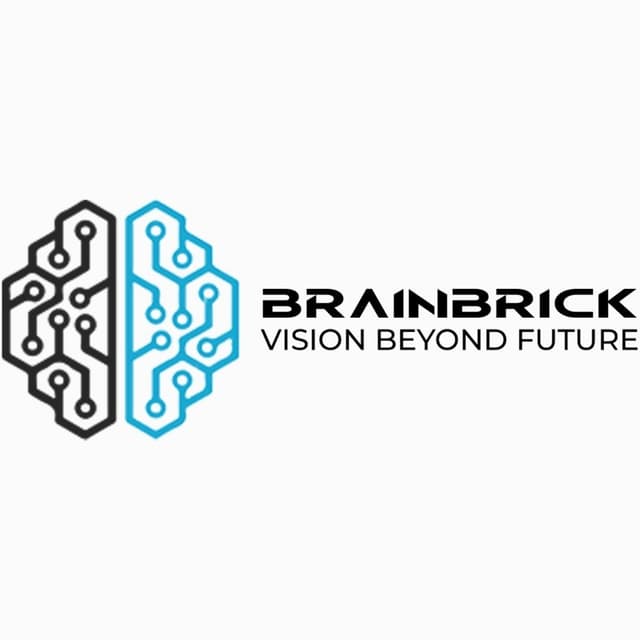 Brain Brick