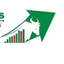 Bulls Assets