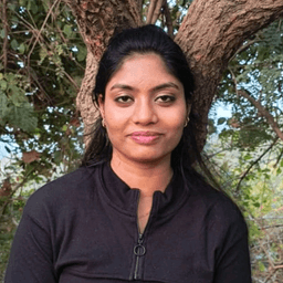 Sai Chaitanya Narava