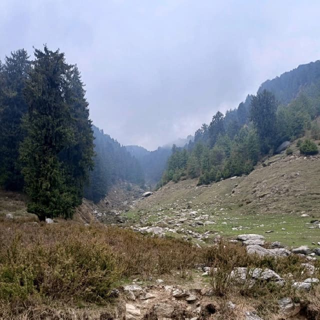Chhayank Kumar
