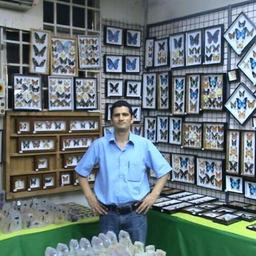 Dr Aijaz Ahmad Qureshi [Butterfly Man of Kashmir]