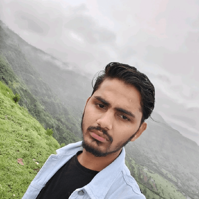 Fardin Saluji