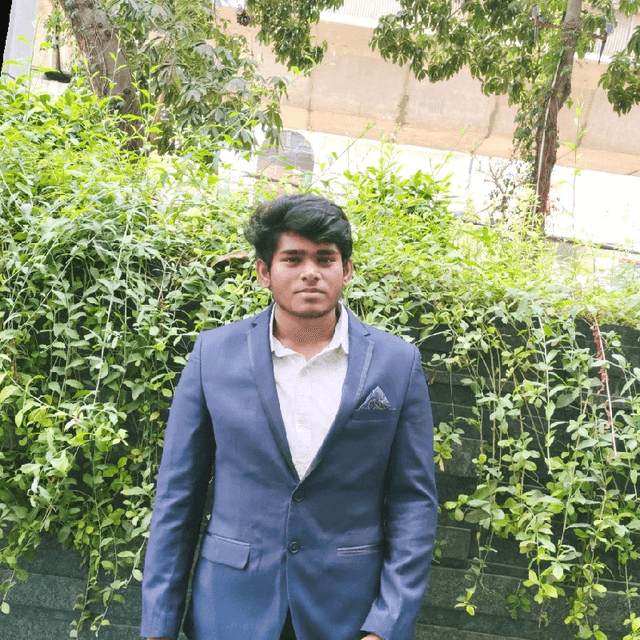 Gokularaman C