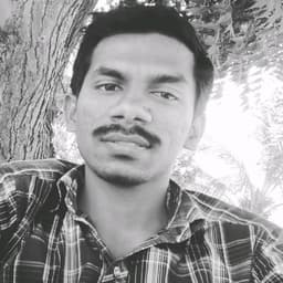 Gokulnath  P