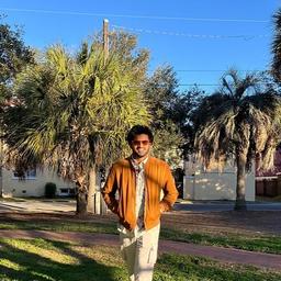 Harish Mittal