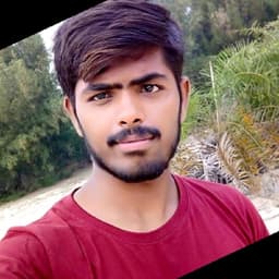 Anji Reddy Puli