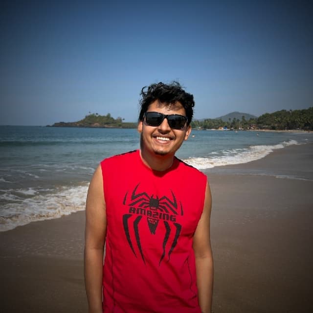 Swapnil Palash