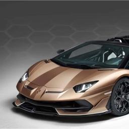 Raghavendra Shingane