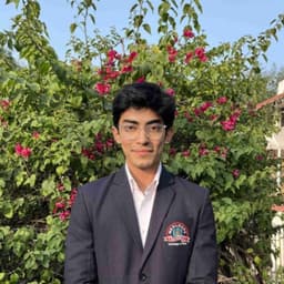 Lokesh Singh Chauhan