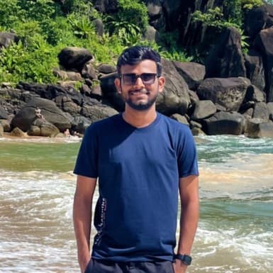 Ritik Mandloi