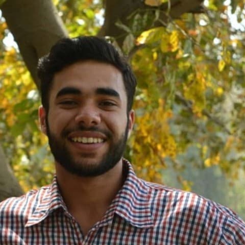 Mayank Kapur