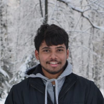 Mayank Singour