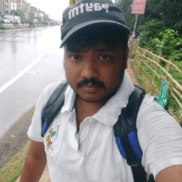 Mintu Roy