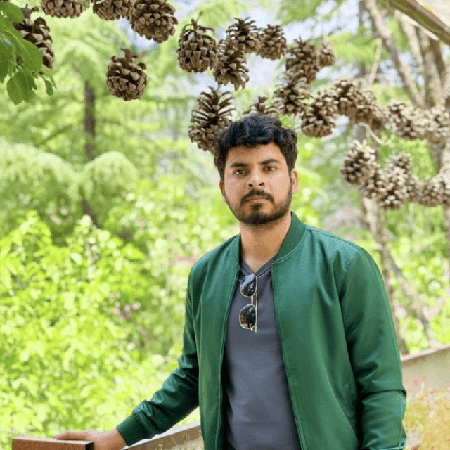 Nilesh kumar