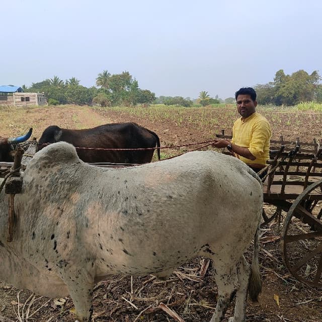 Ajeet Kumar Singh