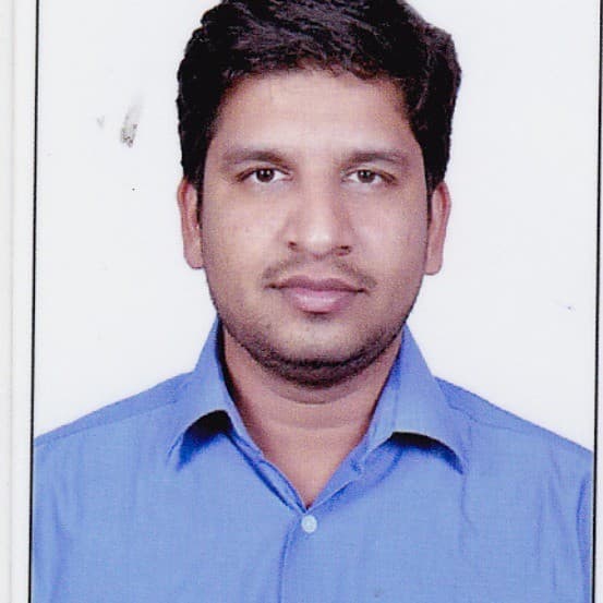 Parthasaradhi N