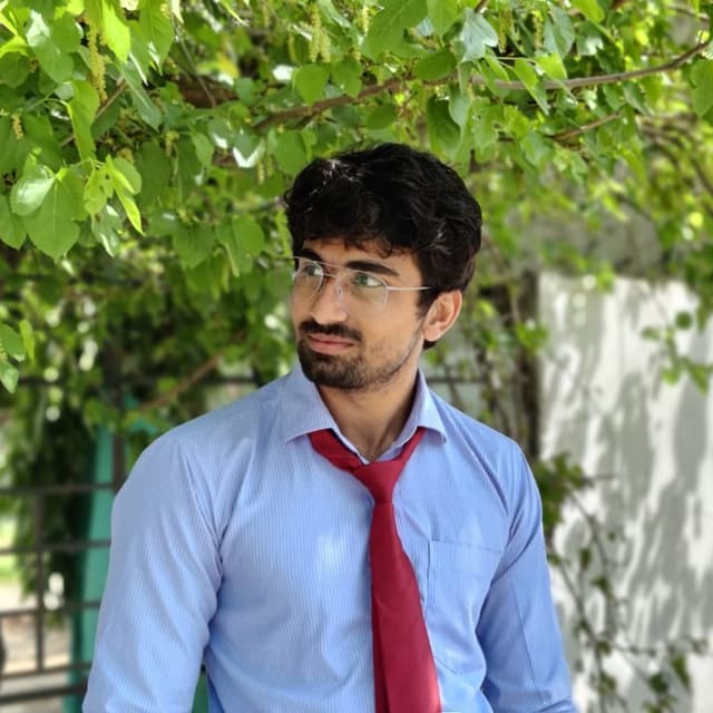Raj Vashisth