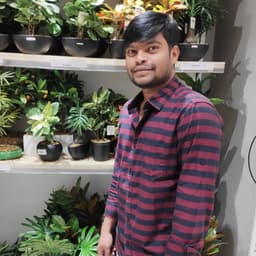 Raja Mouli Y.