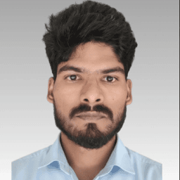 Raju orupula