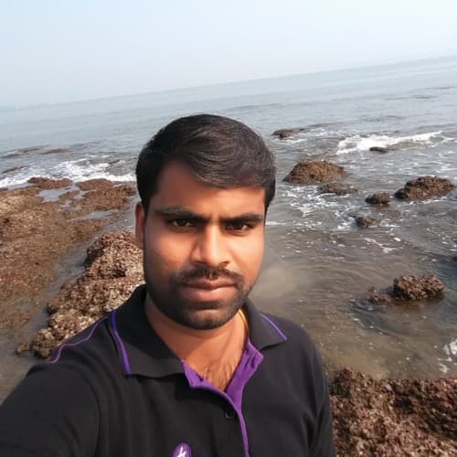 RaviKumar N