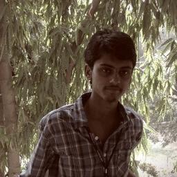 Rayudu A L P
