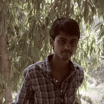 Rayudu A L P