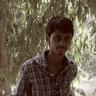 Rayudu A L P